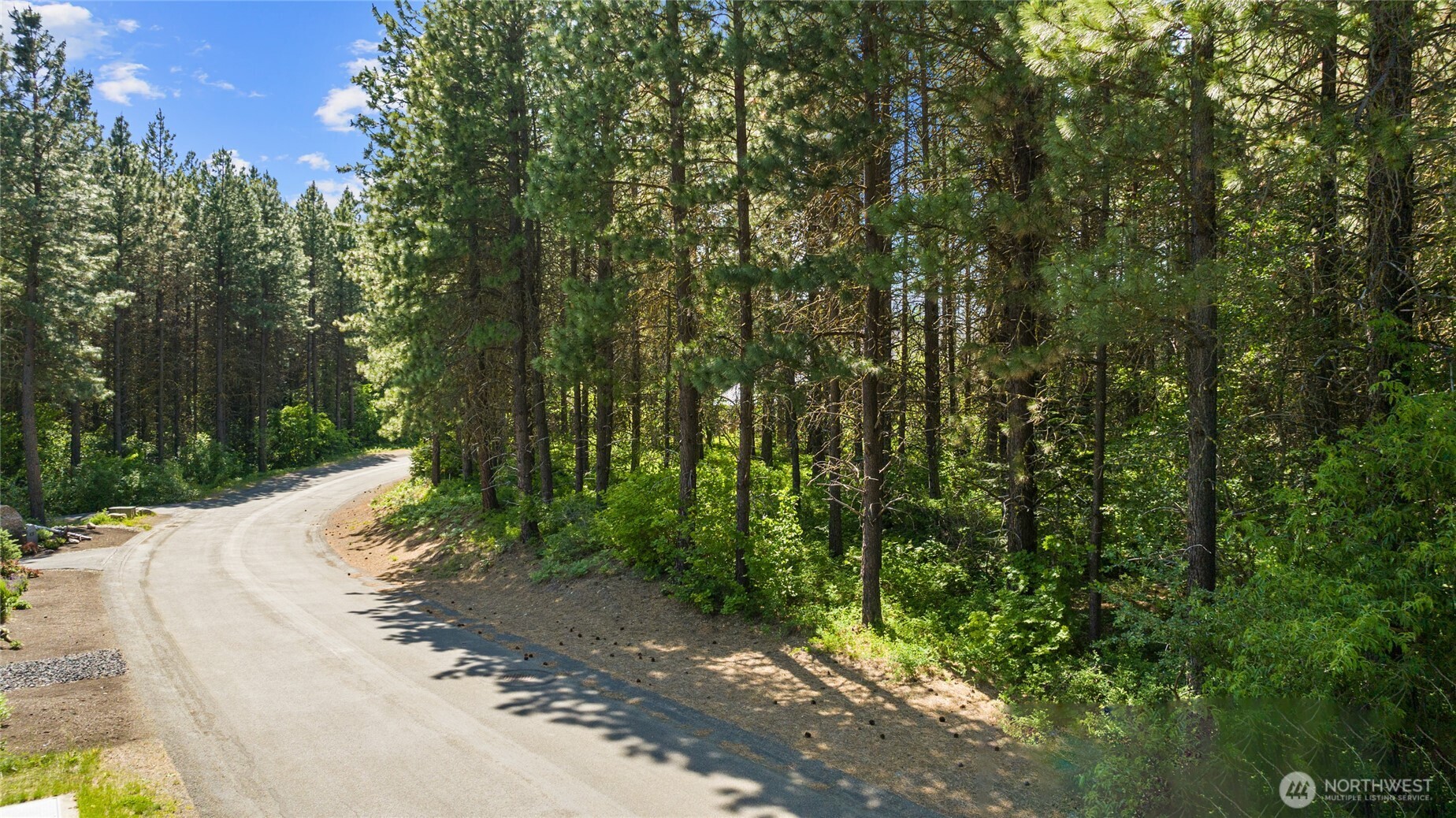 831 Iron Monarch Loop Property Photo 6