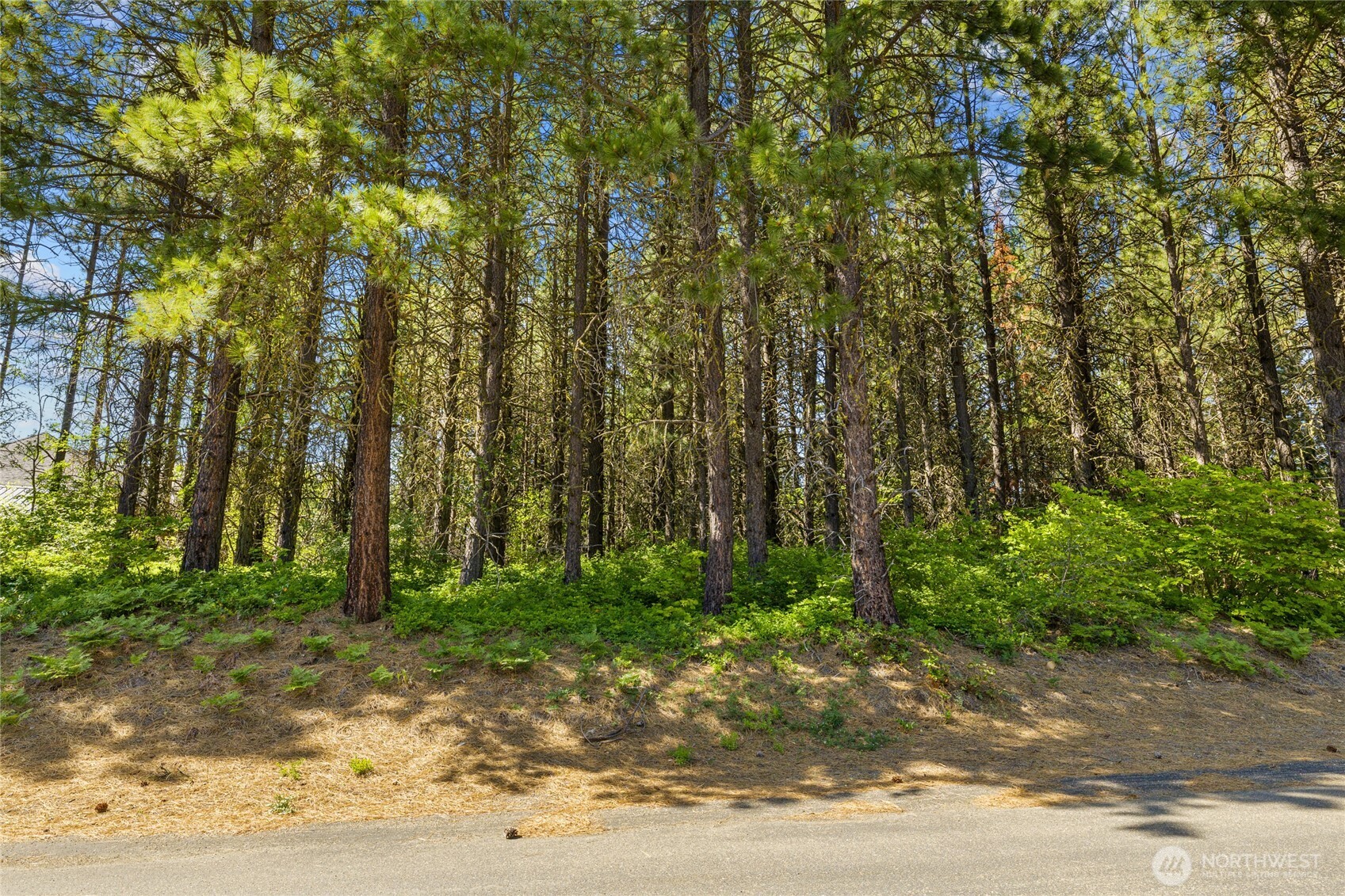831 Iron Monarch Loop Property Photo 8