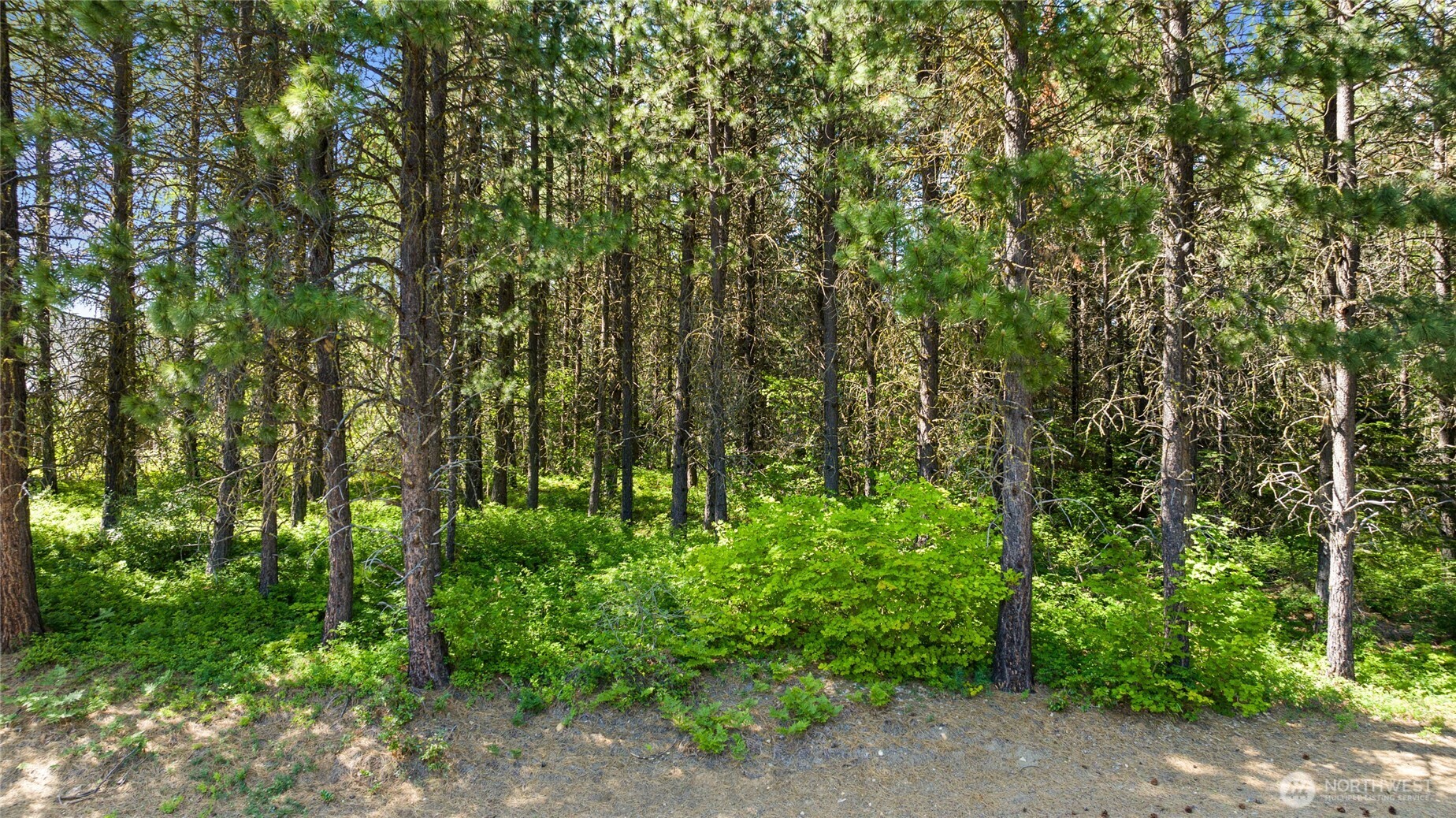 831 Iron Monarch Loop Property Photo 9