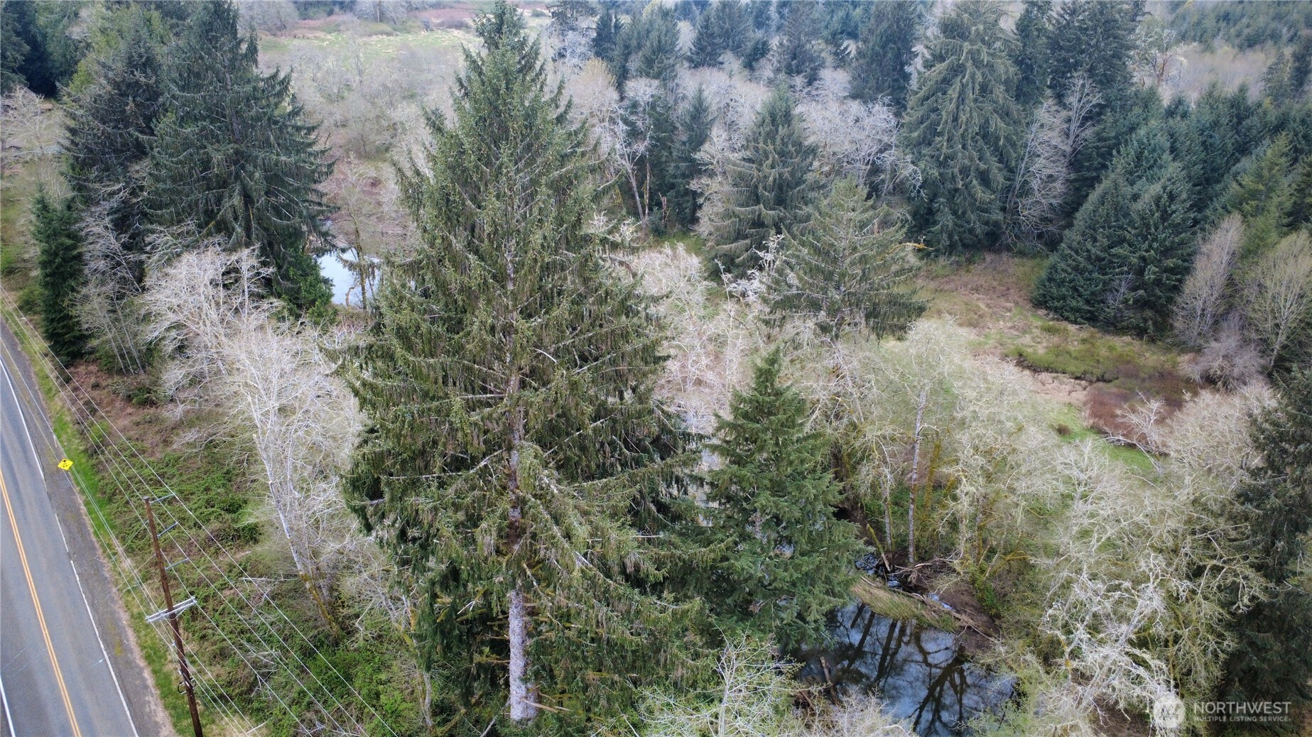 2059 E Hoquiam Road Property Photo 10