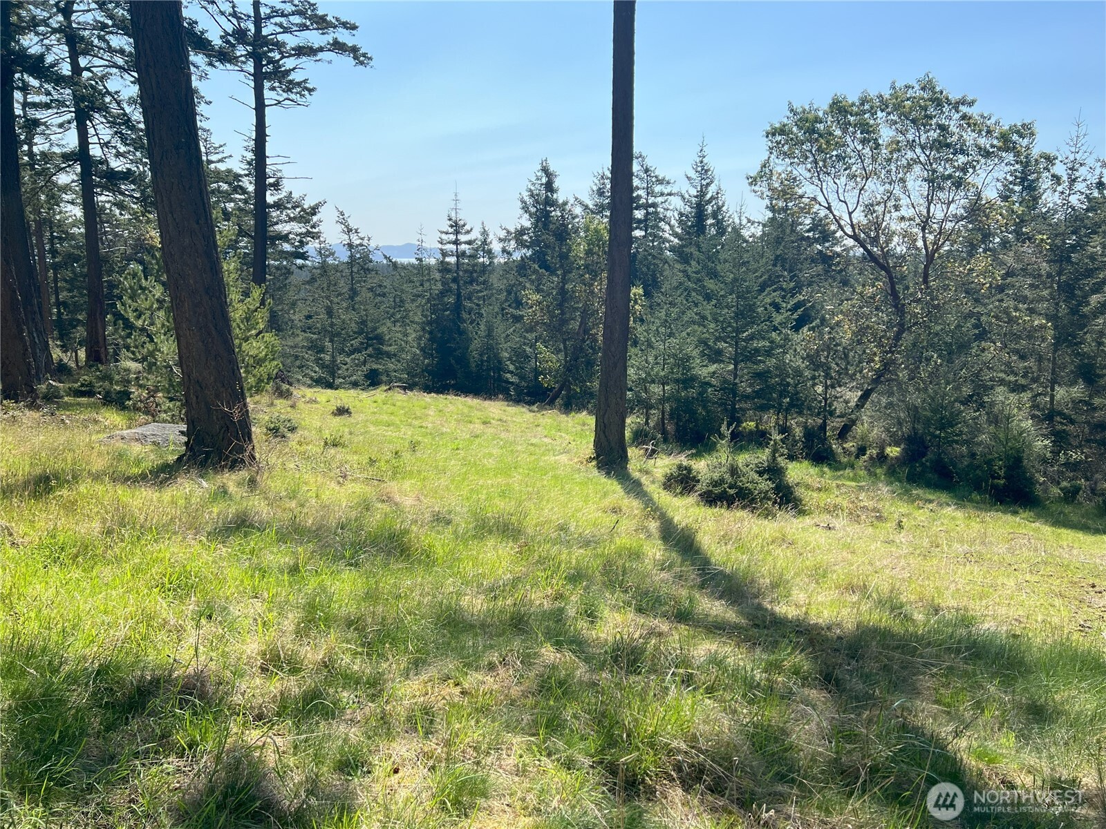 186 South Ridge Road Property Photo 8