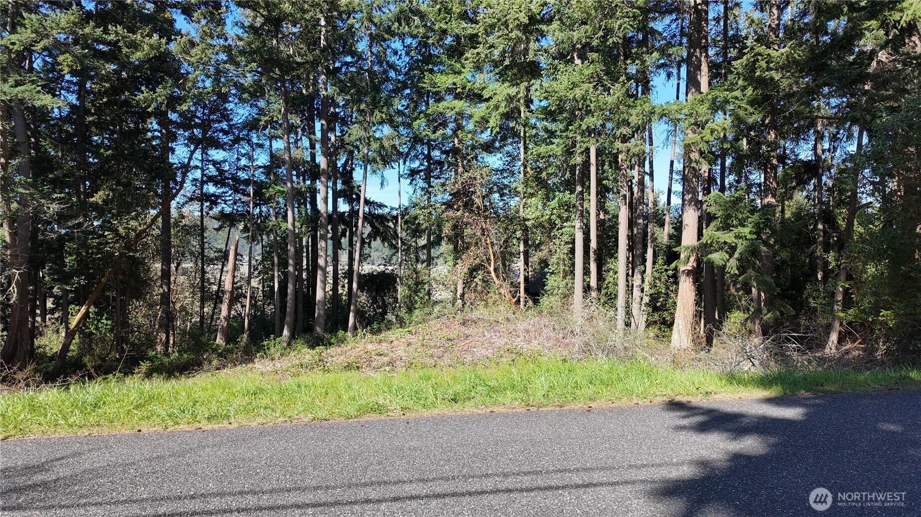 0 Wagner Road Property Photo 3