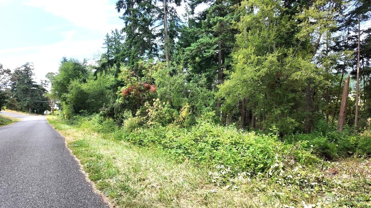 0 Wagner Road Property Photo 4