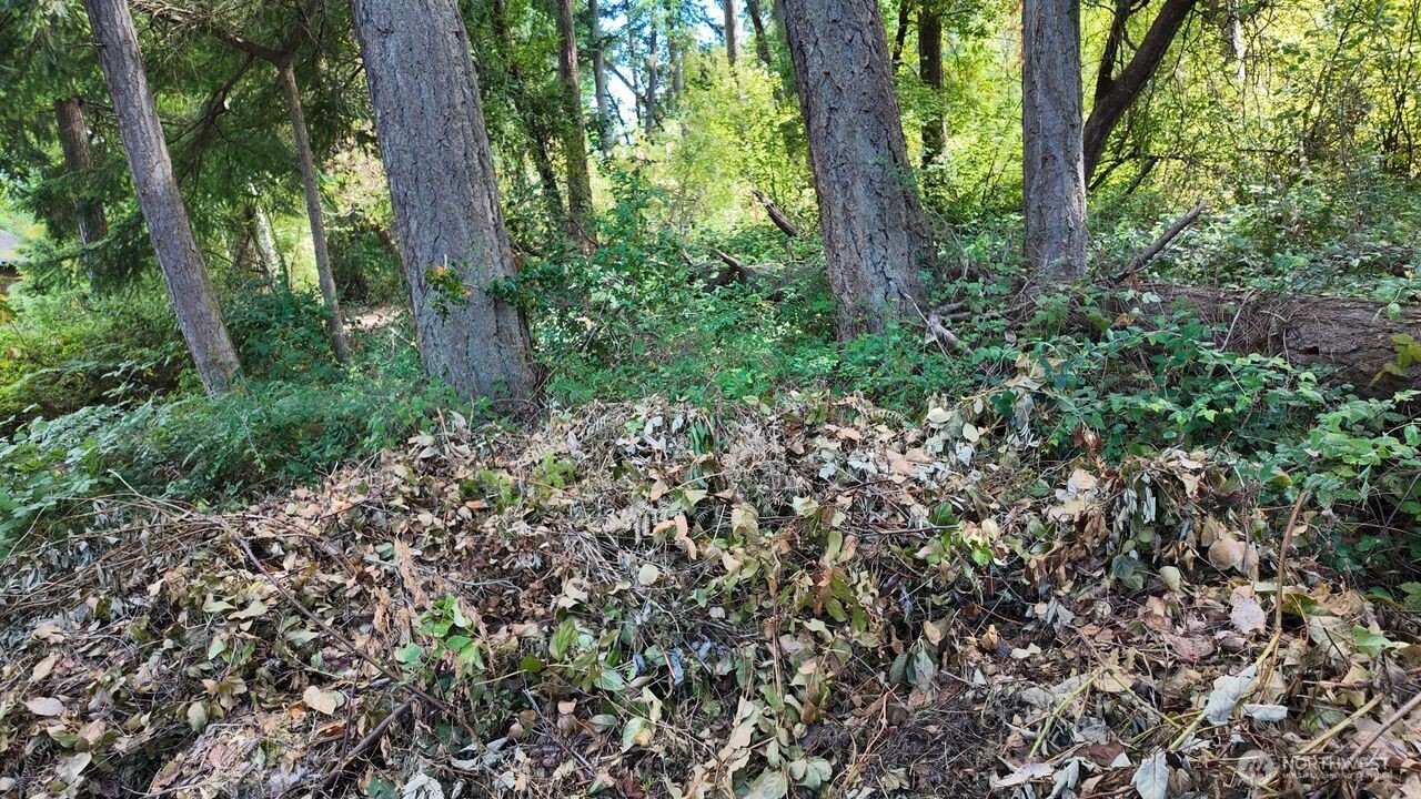 0 Wagner Road Property Photo 5