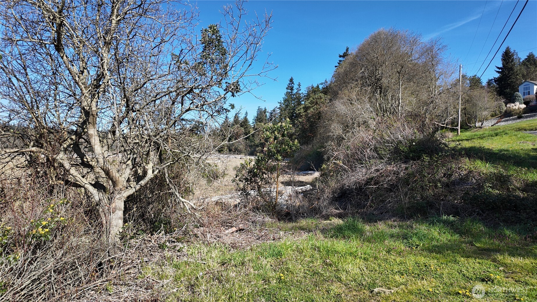 0 Wagner Road Property Photo 18