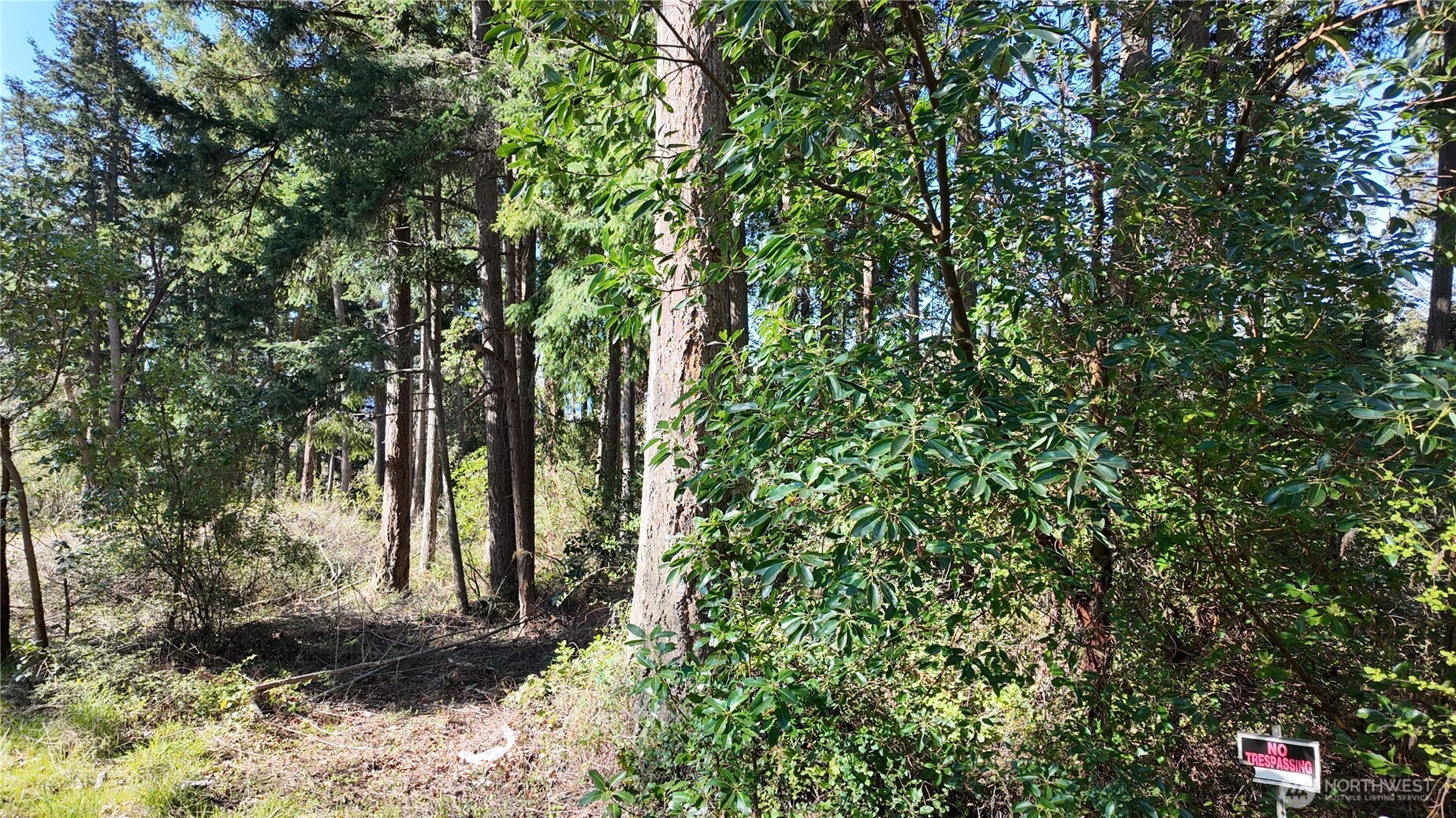 0 Wagner Road Property Photo 22