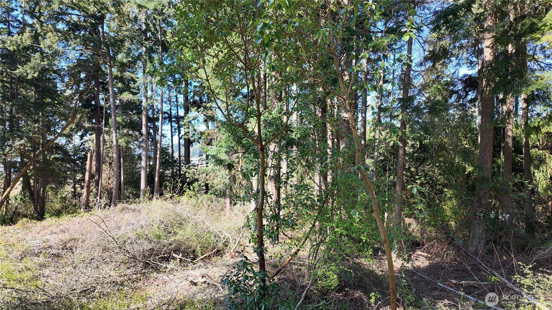 0 Wagner Road Property Photo 23