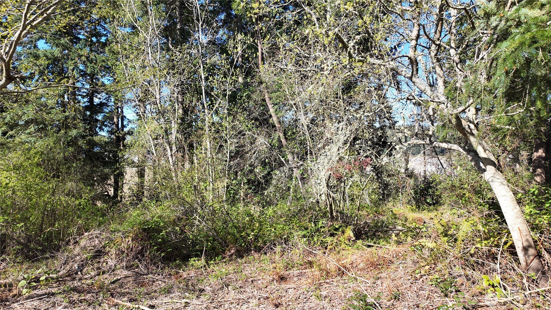 0 Wagner Road Property Photo 25