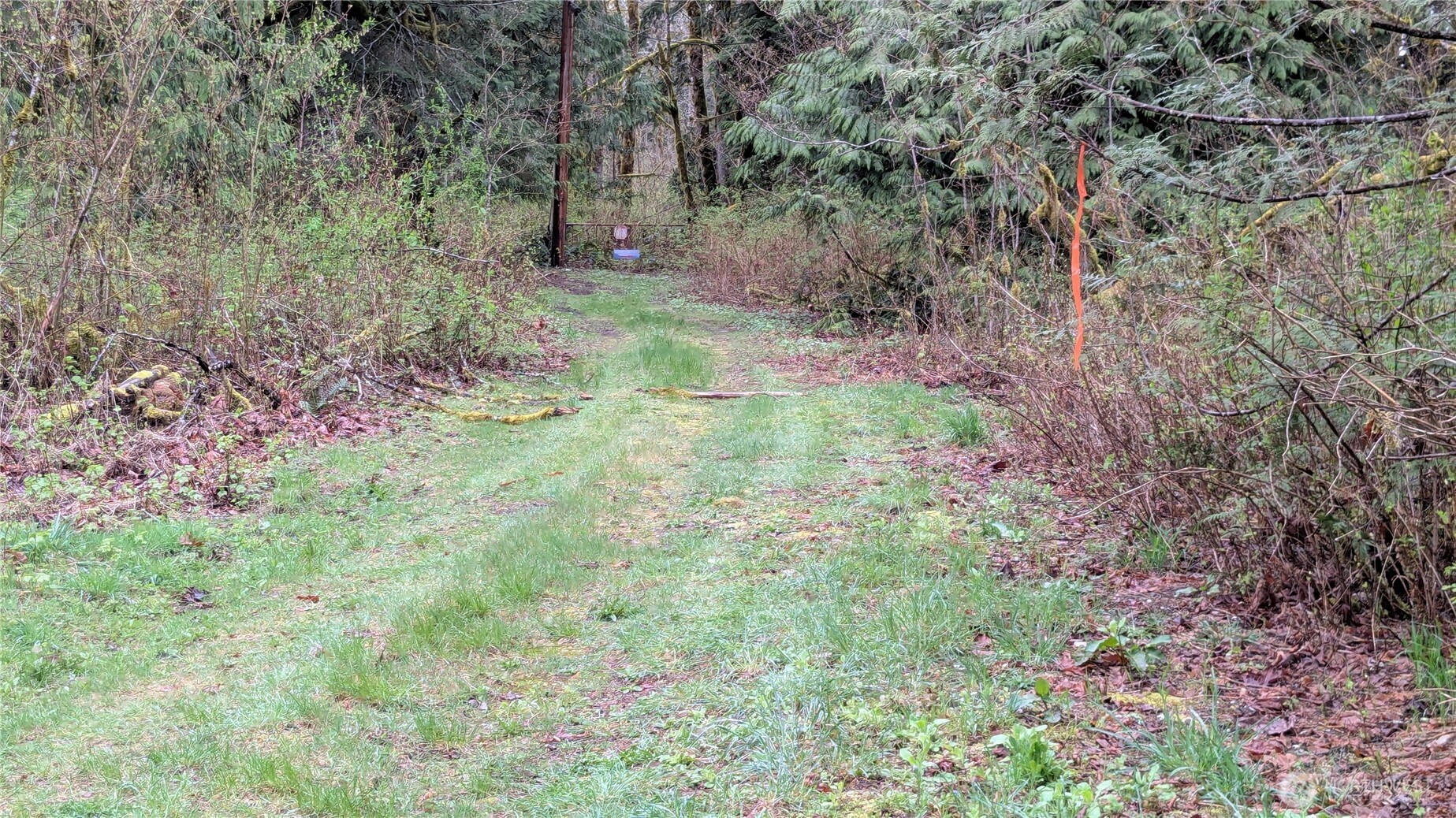 63602 190th Street Property Photo 4