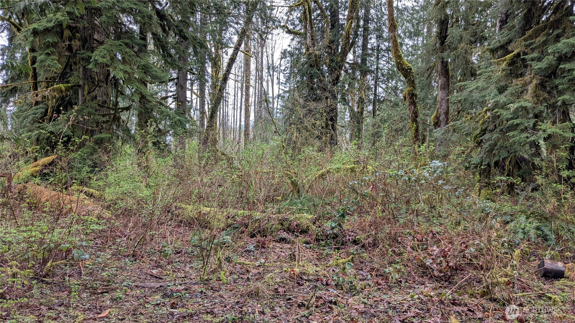 63602 190th Street Property Photo 6