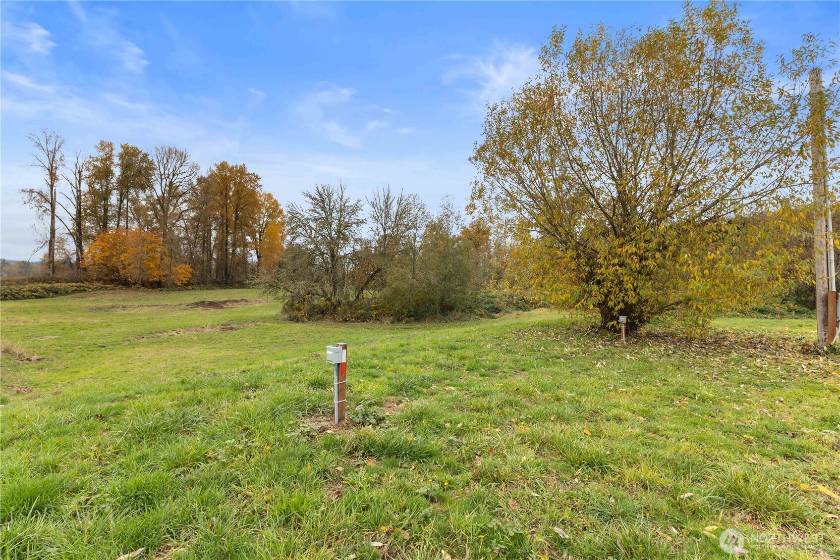 152 Hwy 603 Property Photo 16