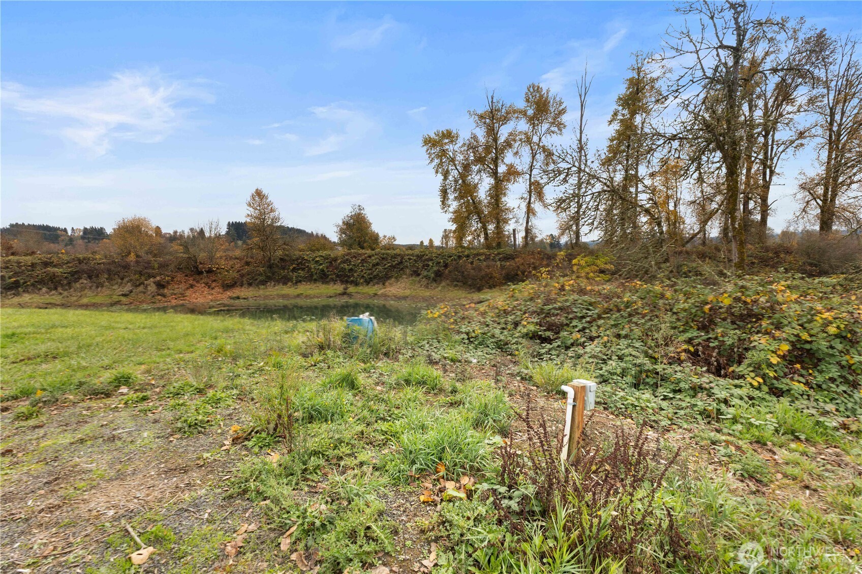 152 Hwy 603 Property Photo 17