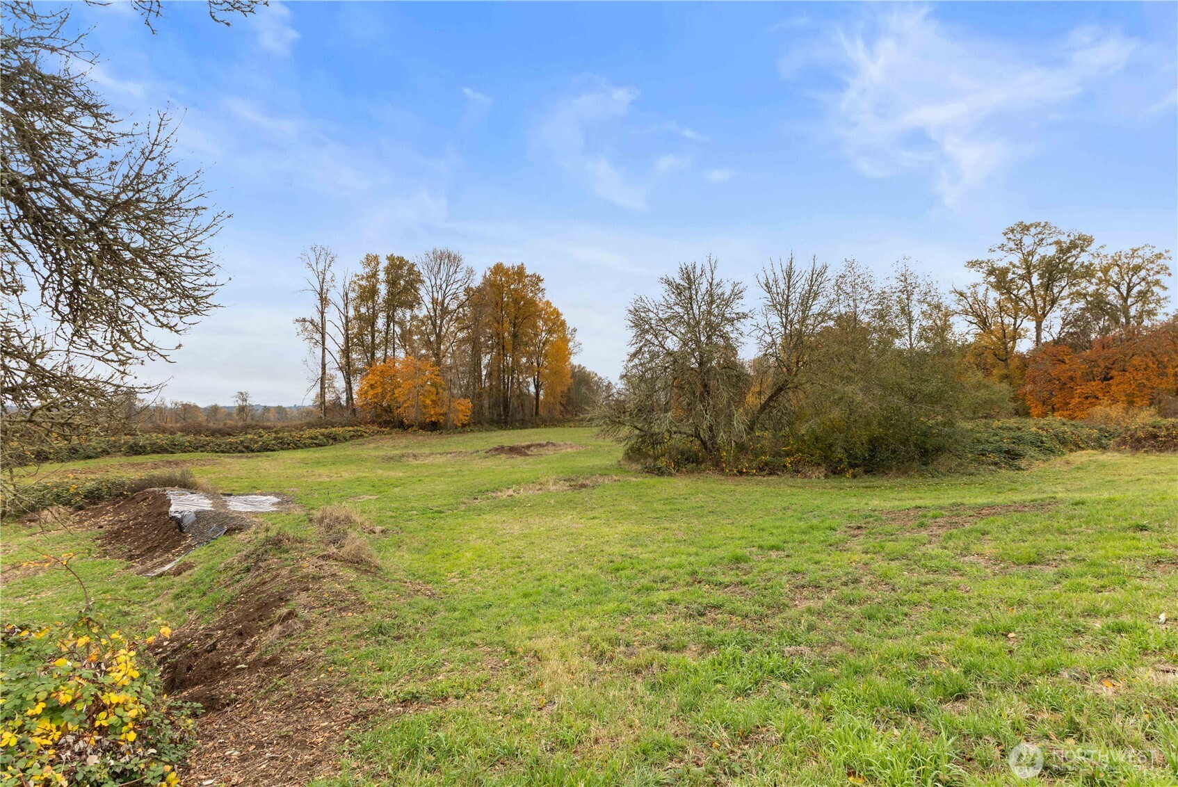 152 Hwy 603 Property Photo 19