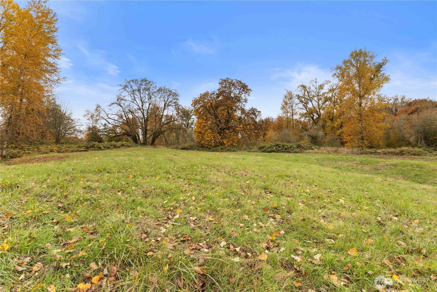 152 Hwy 603 Property Photo 21