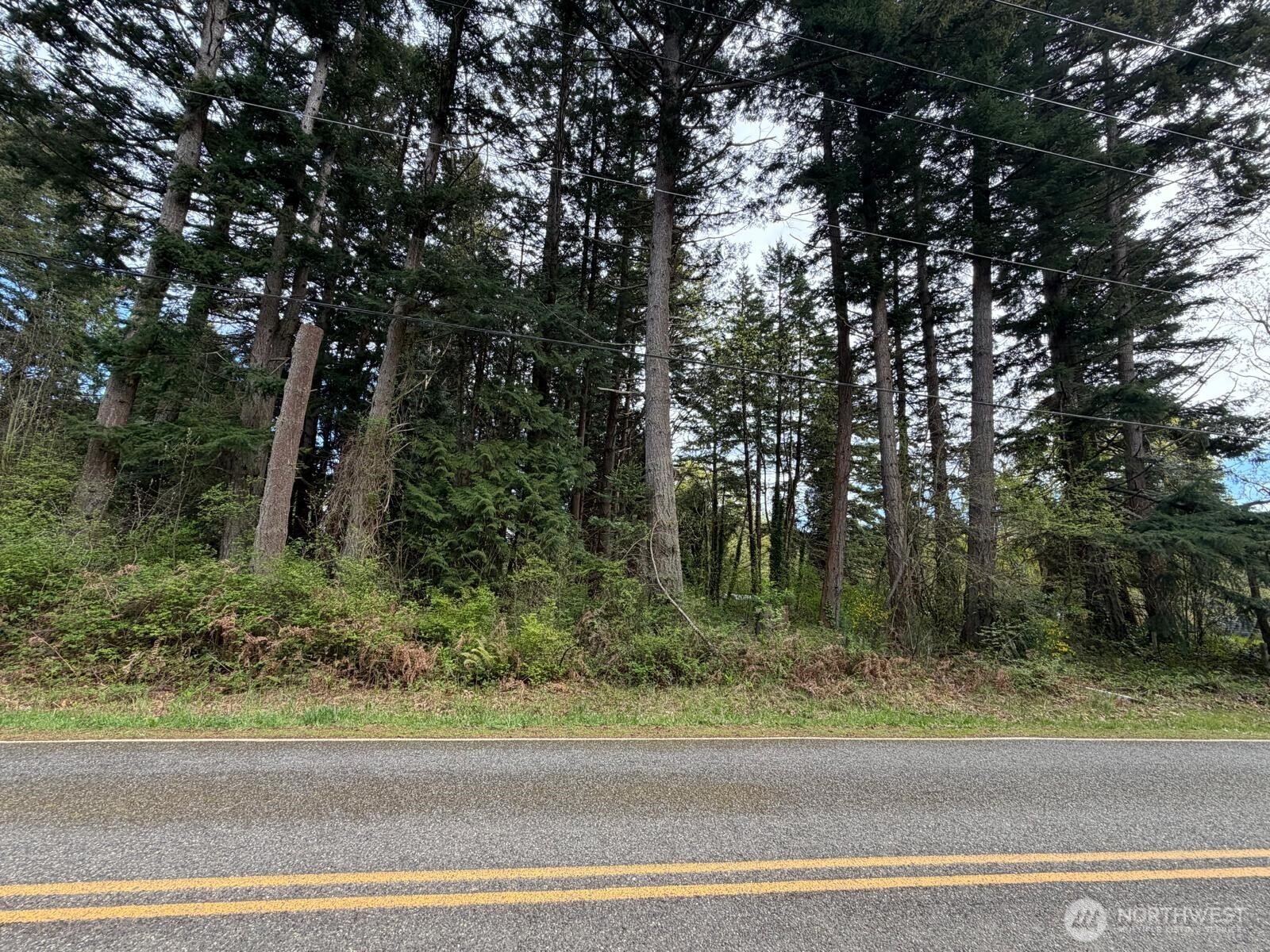 0 Boundary Bay Property Photo 1