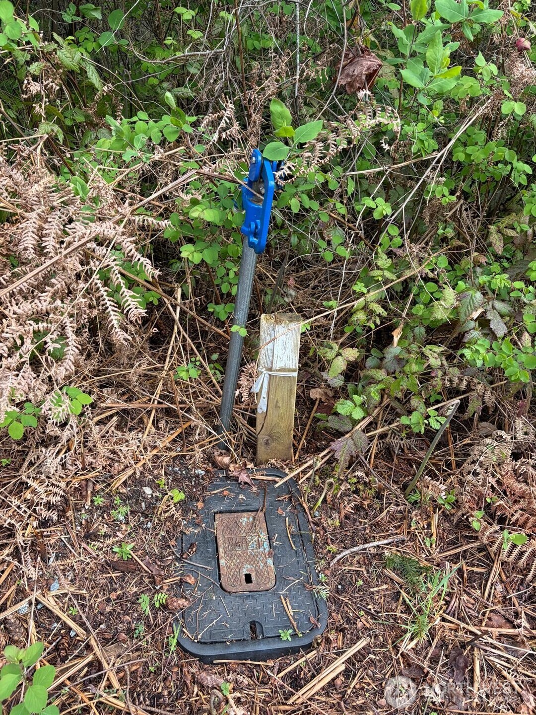 0 Boundary Bay Property Photo 2