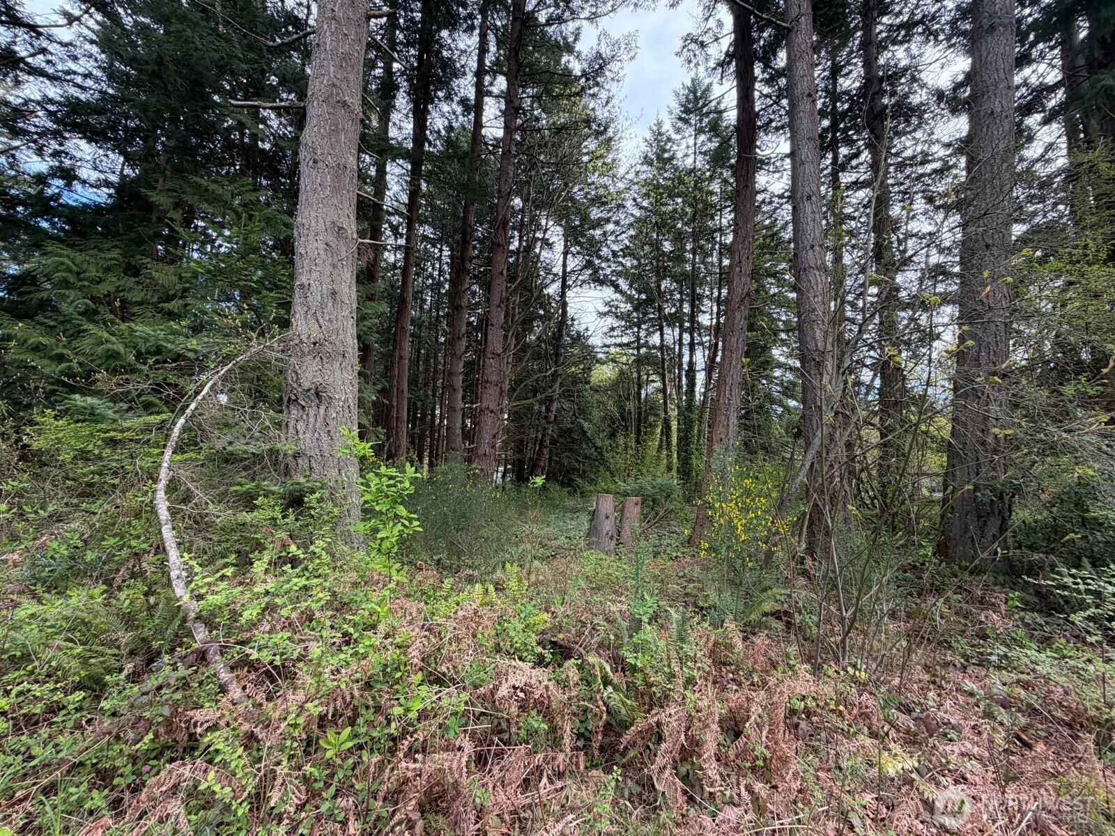 0 Boundary Bay Property Photo 4