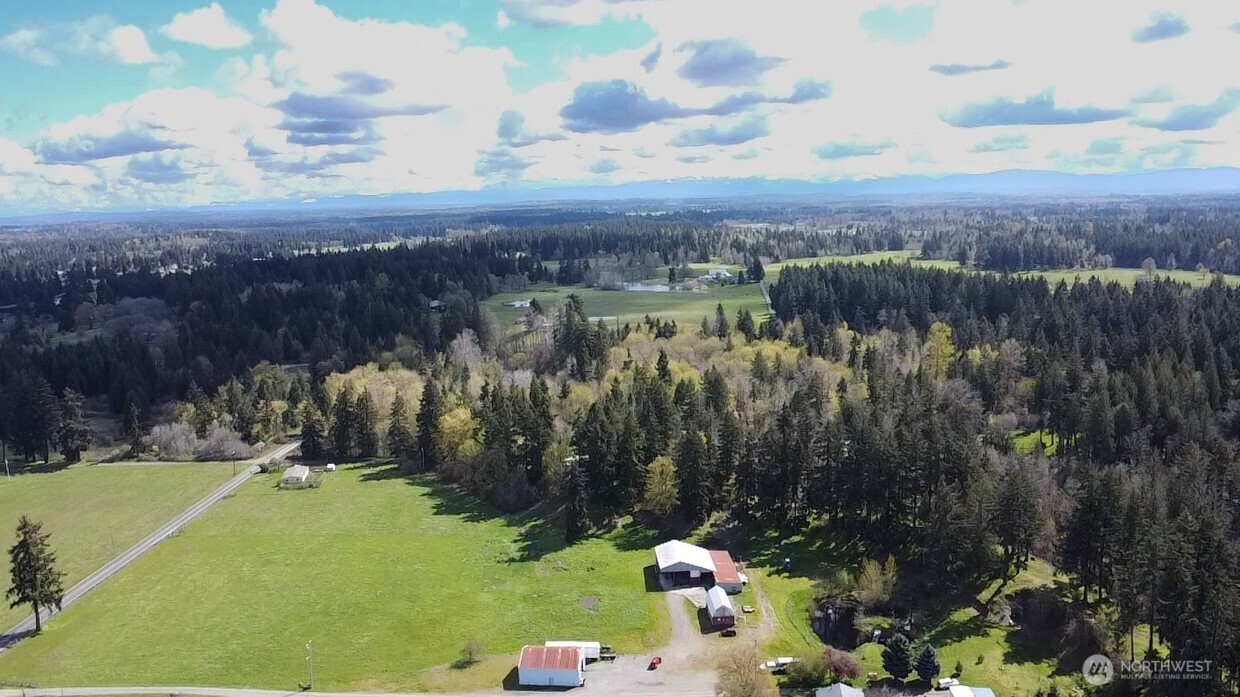 17115 Hannus Road Property Photo 4