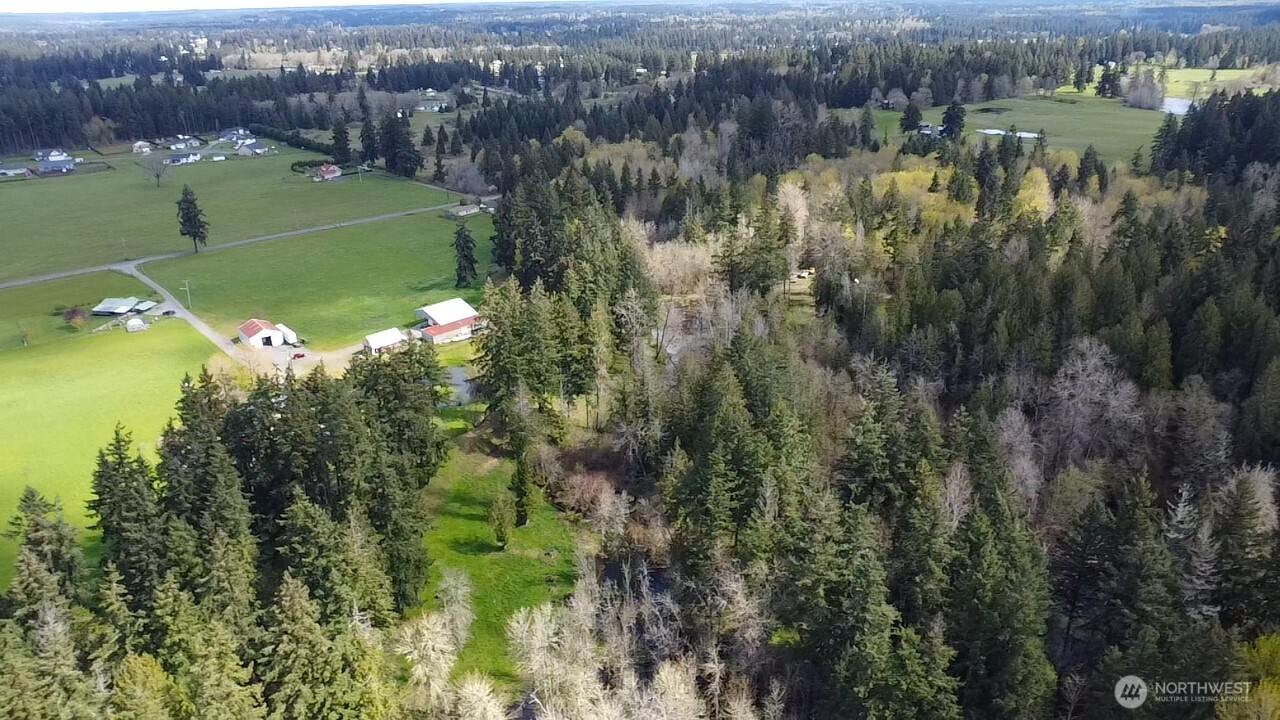 17115 Hannus Road Property Photo 5