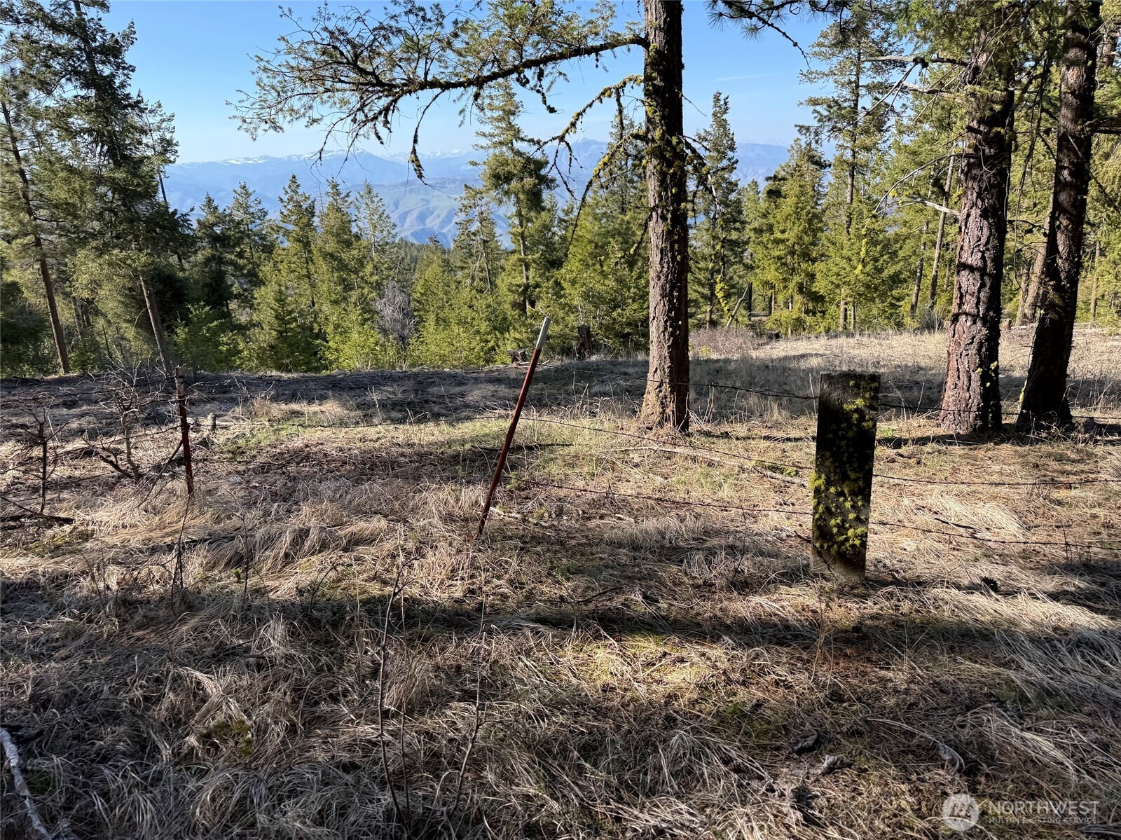 109 Fir Road Property Photo 2