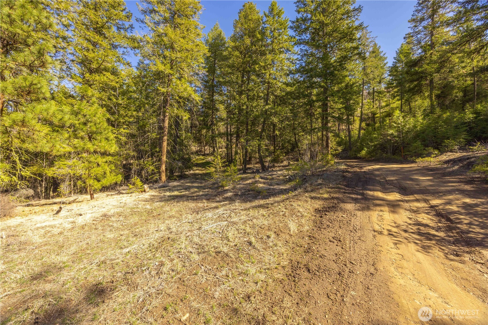 109 Fir Road Property Photo 4