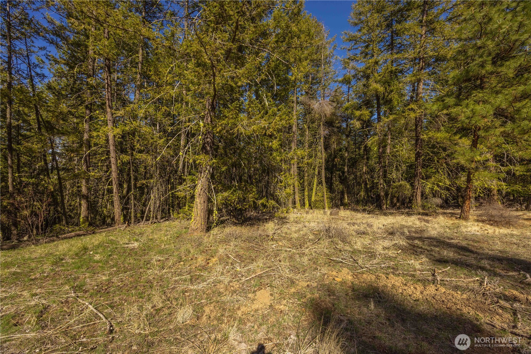 109 Fir Road Property Photo 6