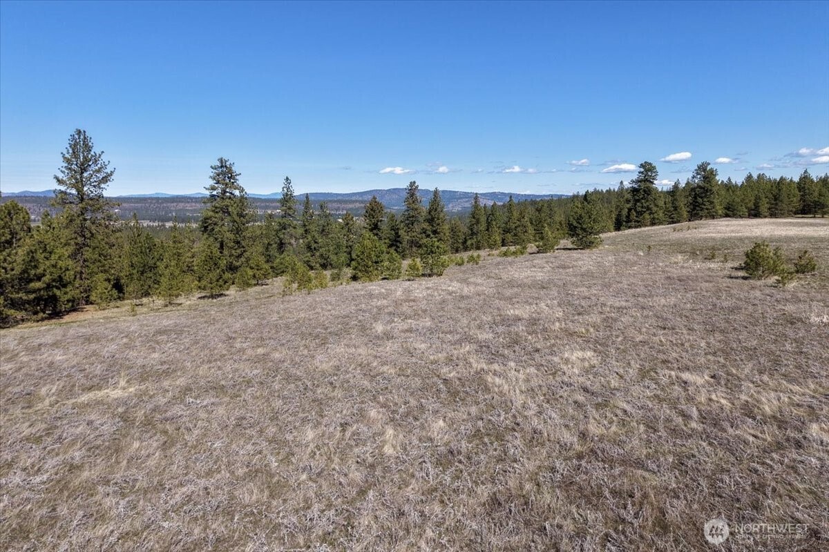 0 Tbd N Hayford Road Property Photo 12