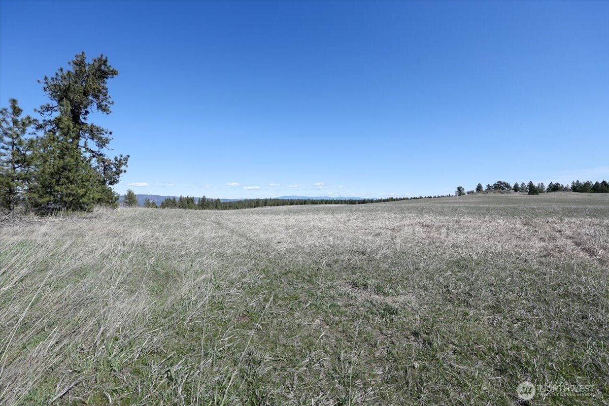 0 Tbd N Hayford Road Property Photo 19