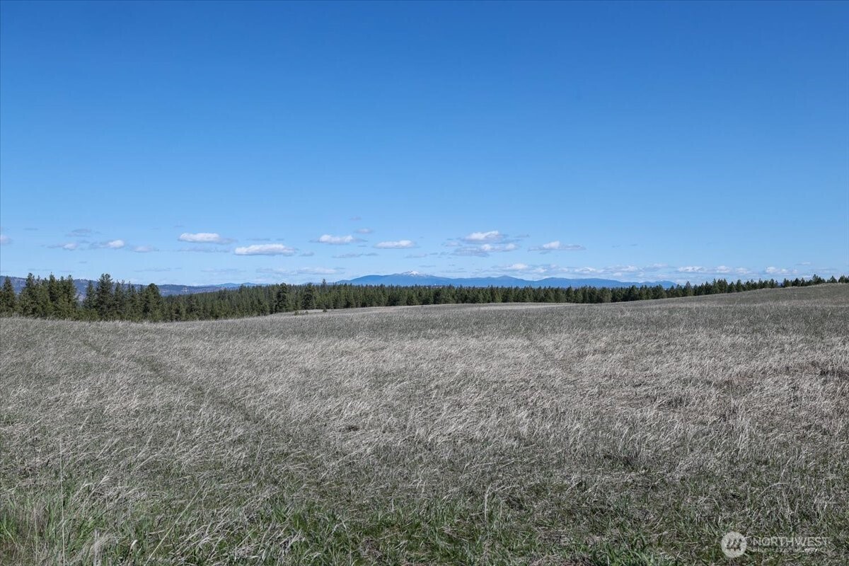 0 Tbd N Hayford Road Property Photo 20