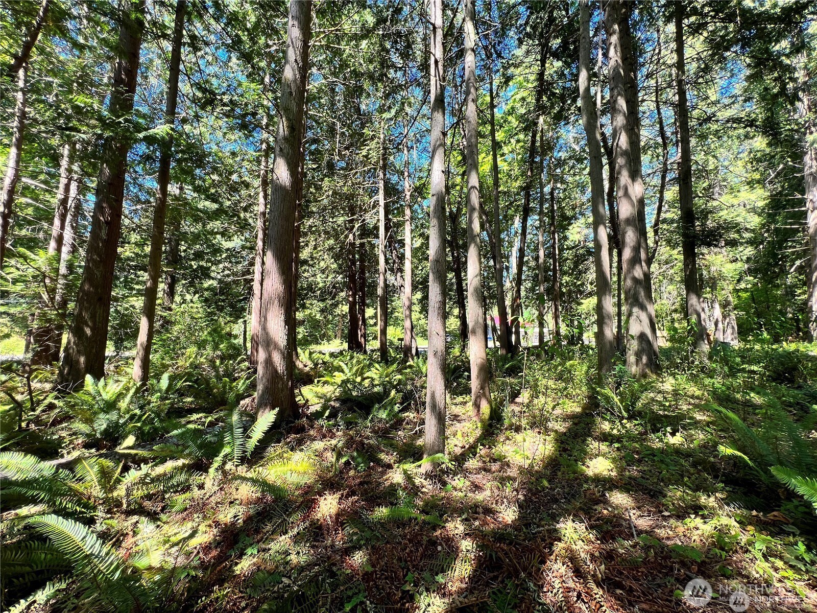 158 Tyee Drive Property Photo 10