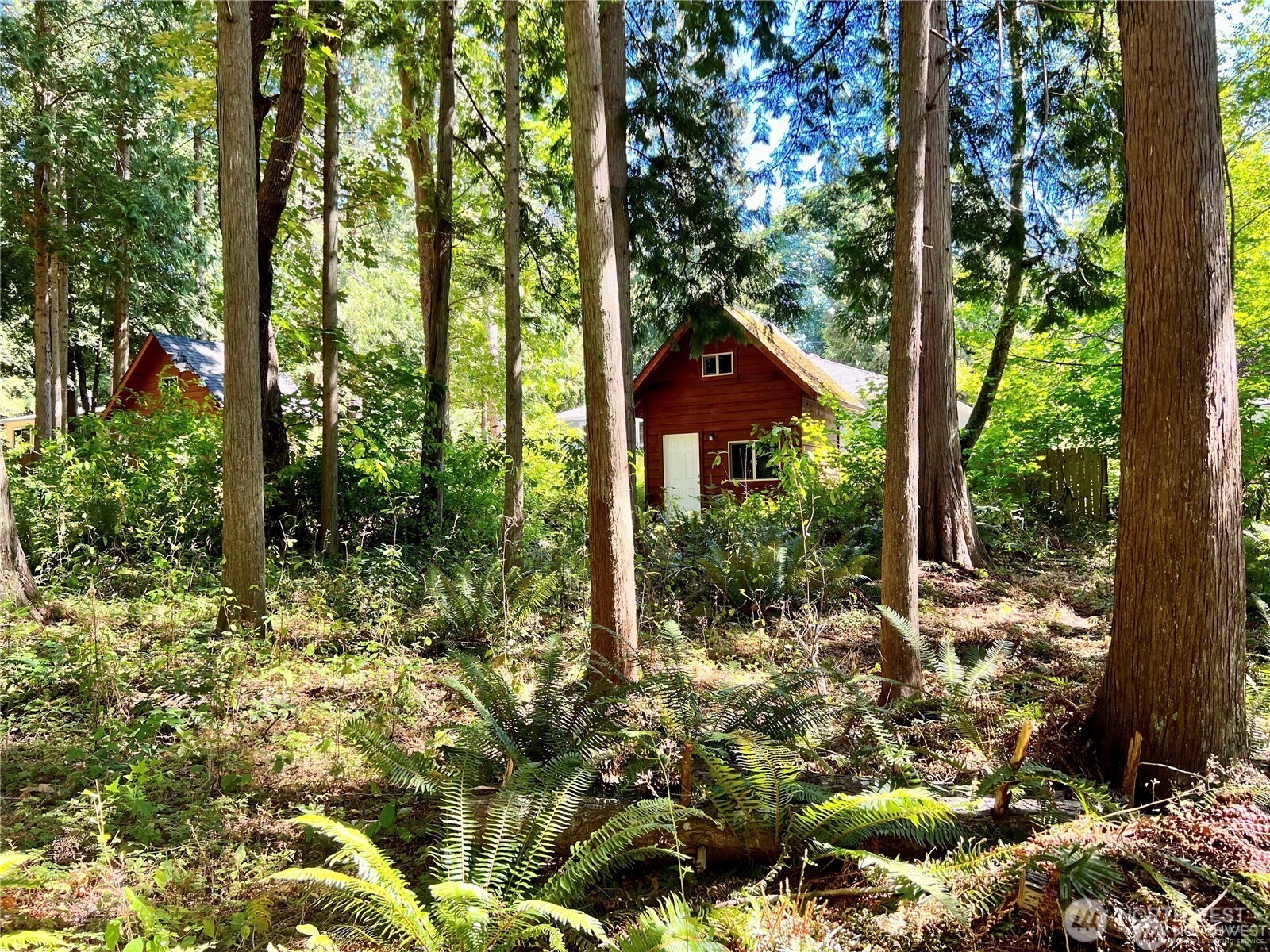 158 Tyee Drive Property Photo 11