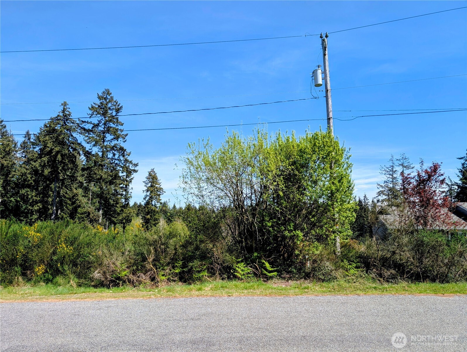 2501 195th Avenue Property Photo 3