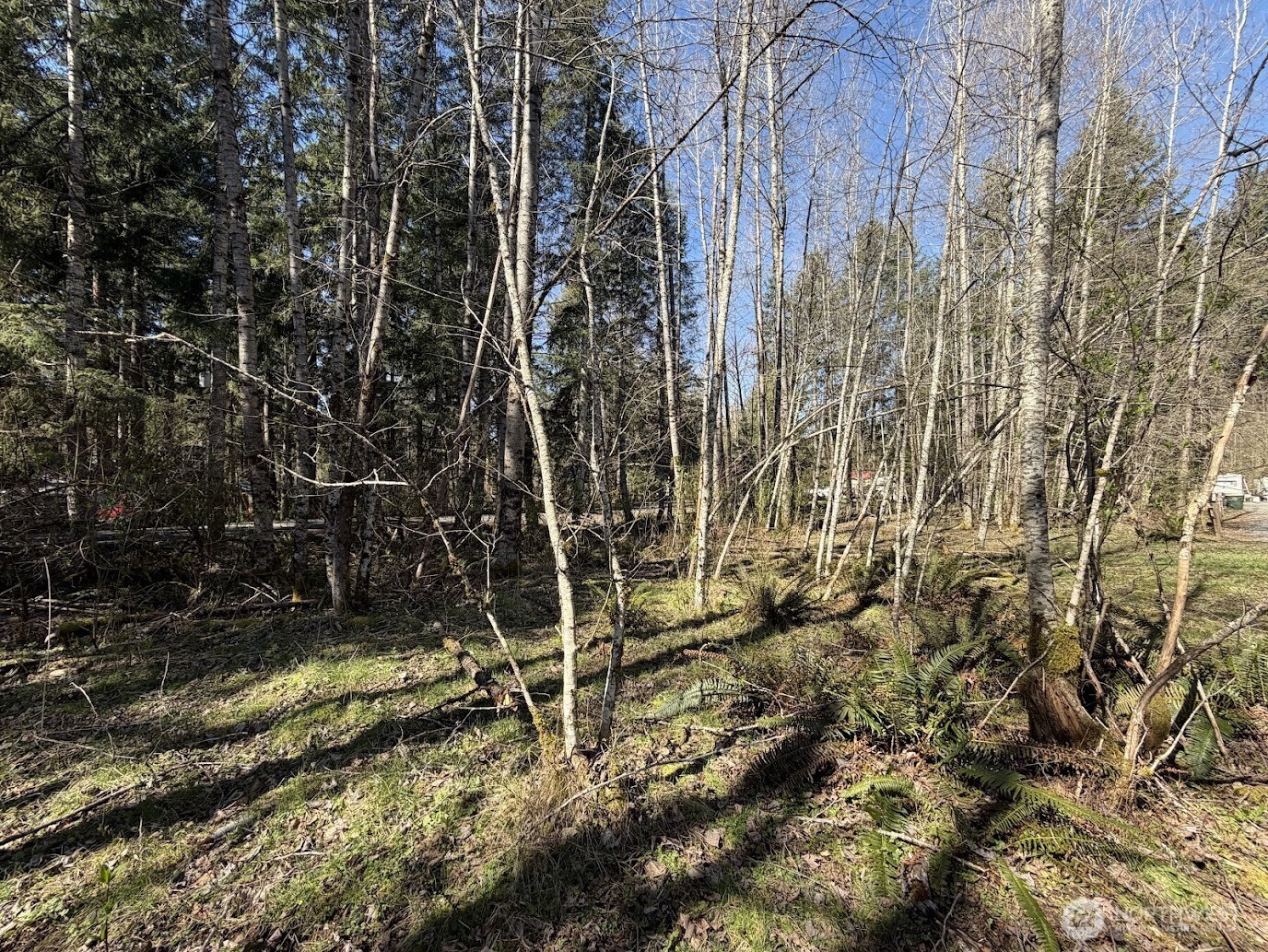 181 Nisqually Way Property Photo 3
