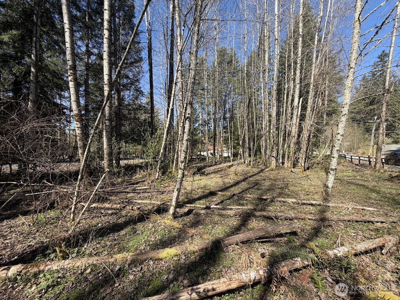 181 Nisqually Way Property Photo 4
