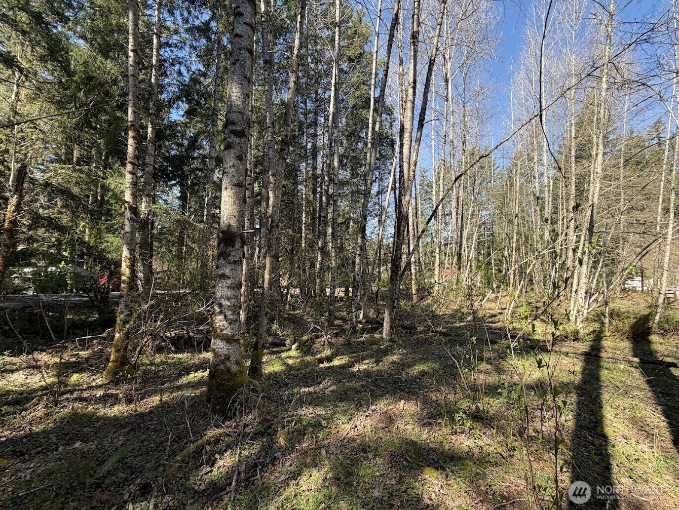 181 Nisqually Way Property Photo 5