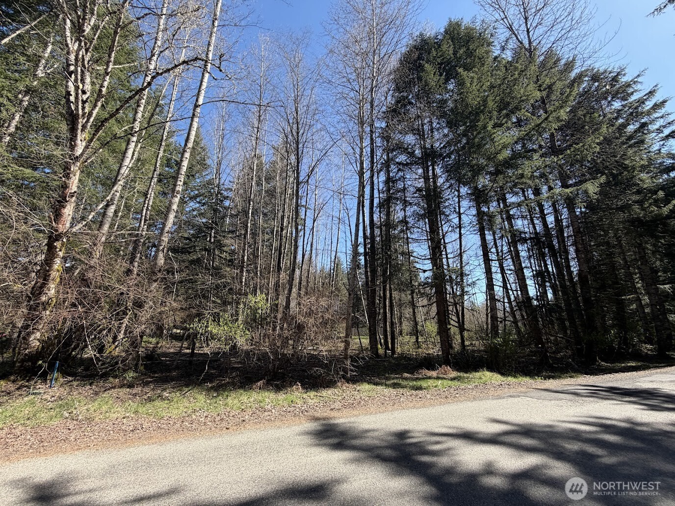 181 Nisqually Way Property Photo 7