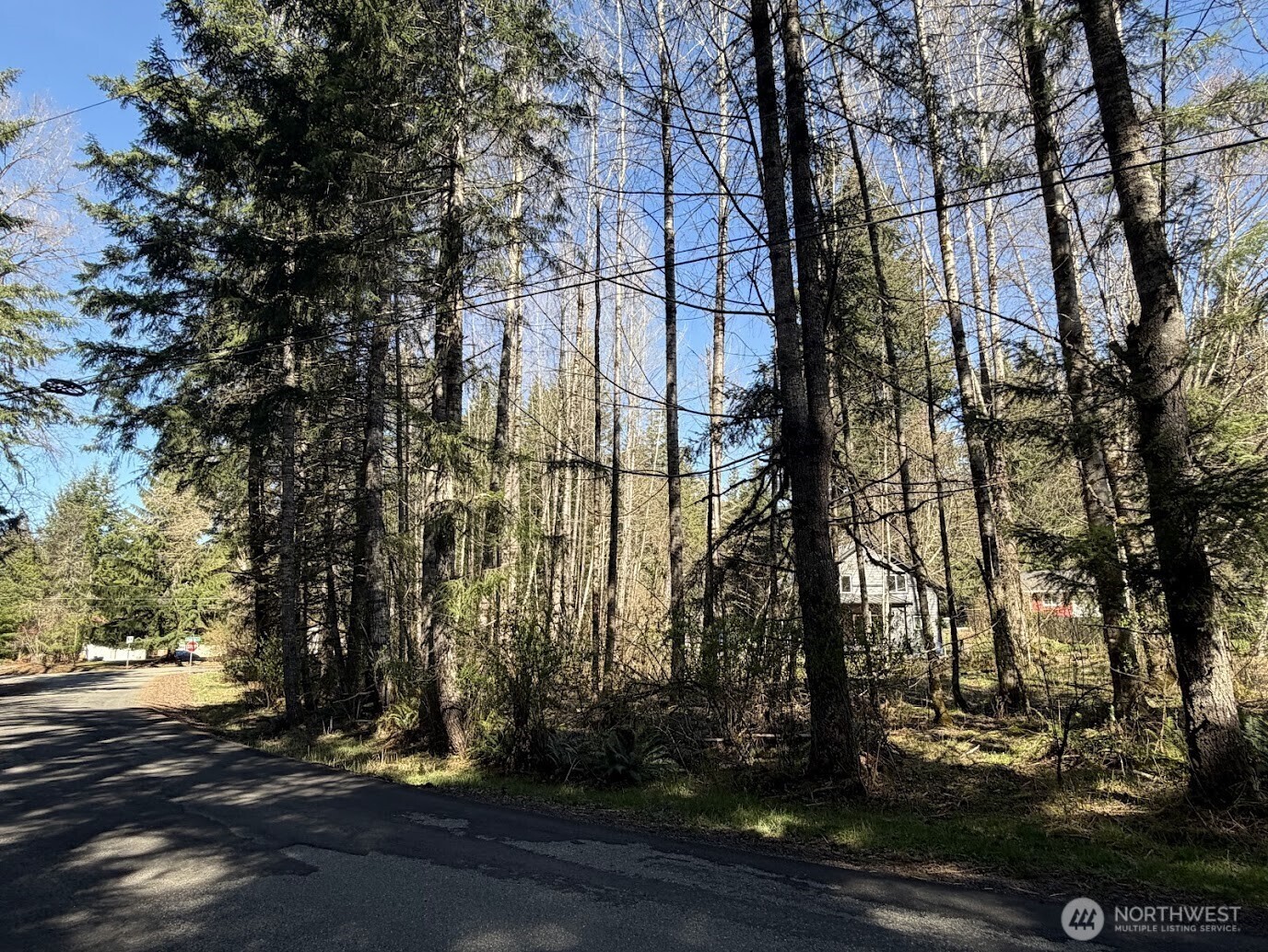181 Nisqually Way Property Photo 9