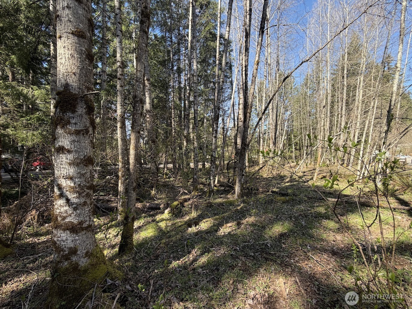 181 Nisqually Way Property Photo 10