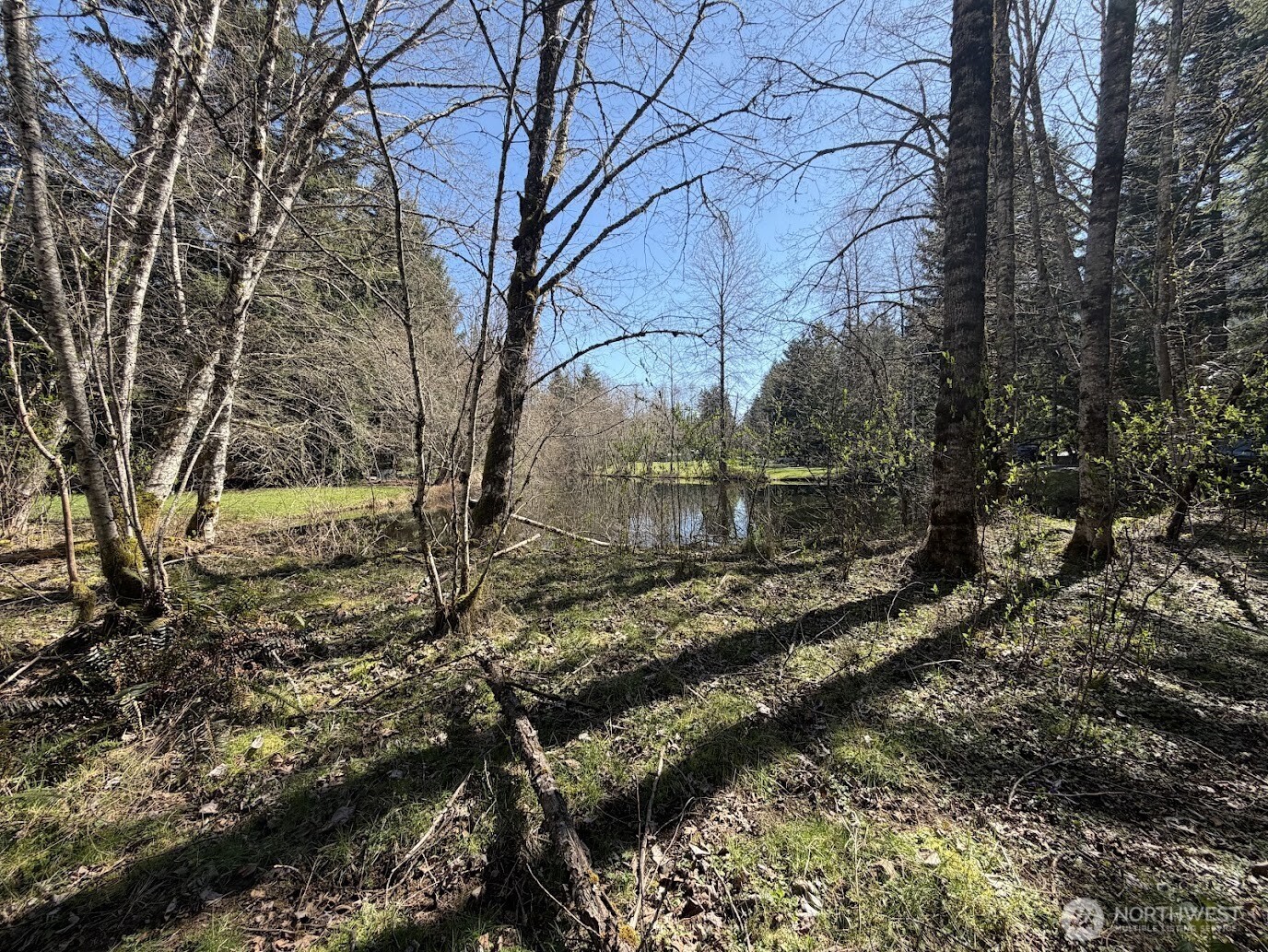 181 Nisqually Way Property Photo 11
