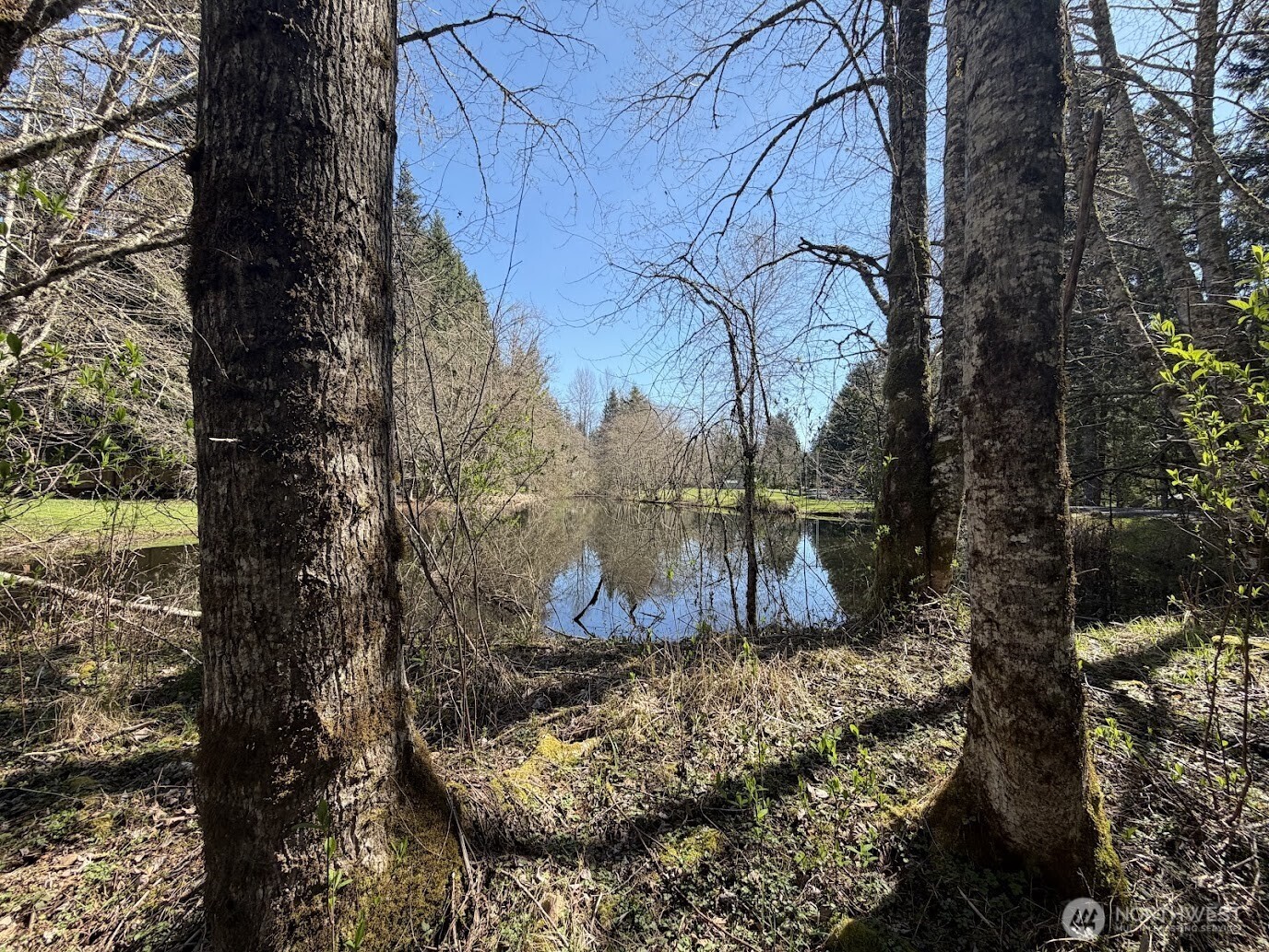 181 Nisqually Way Property Photo 12