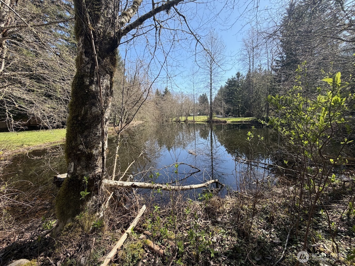 181 Nisqually Way Property Photo 14