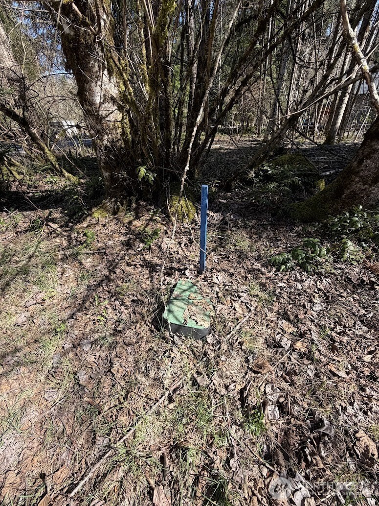 181 Nisqually Way Property Photo 15