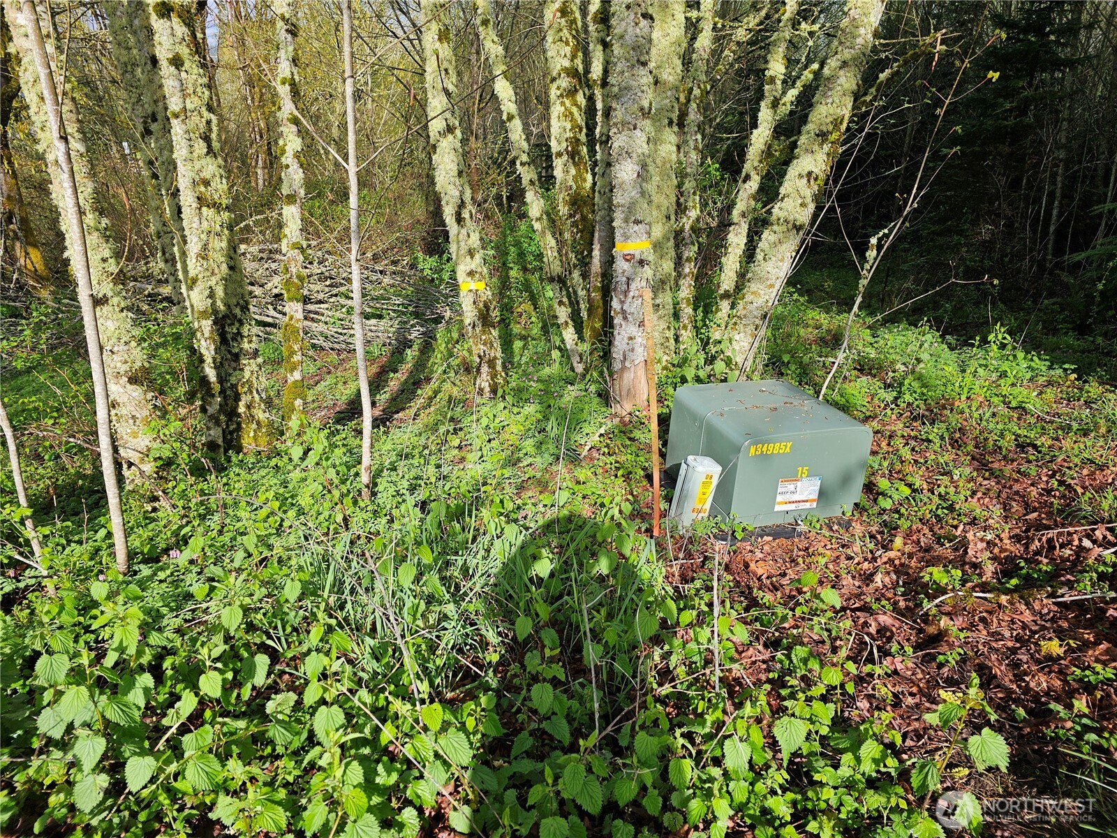 0 Birley Rd Property Photo 3