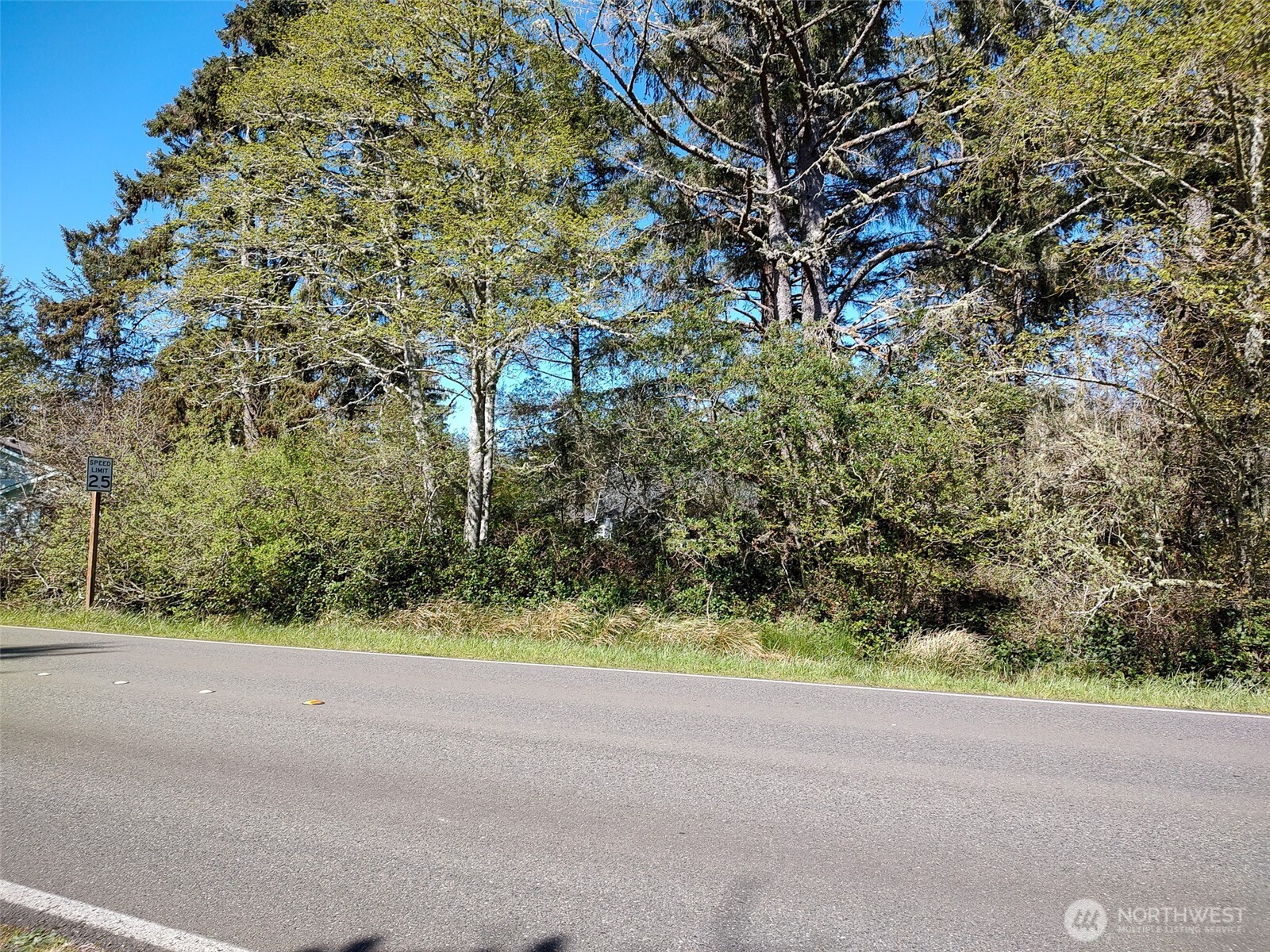 374 Mt Olympus Avenue Property Photo 4
