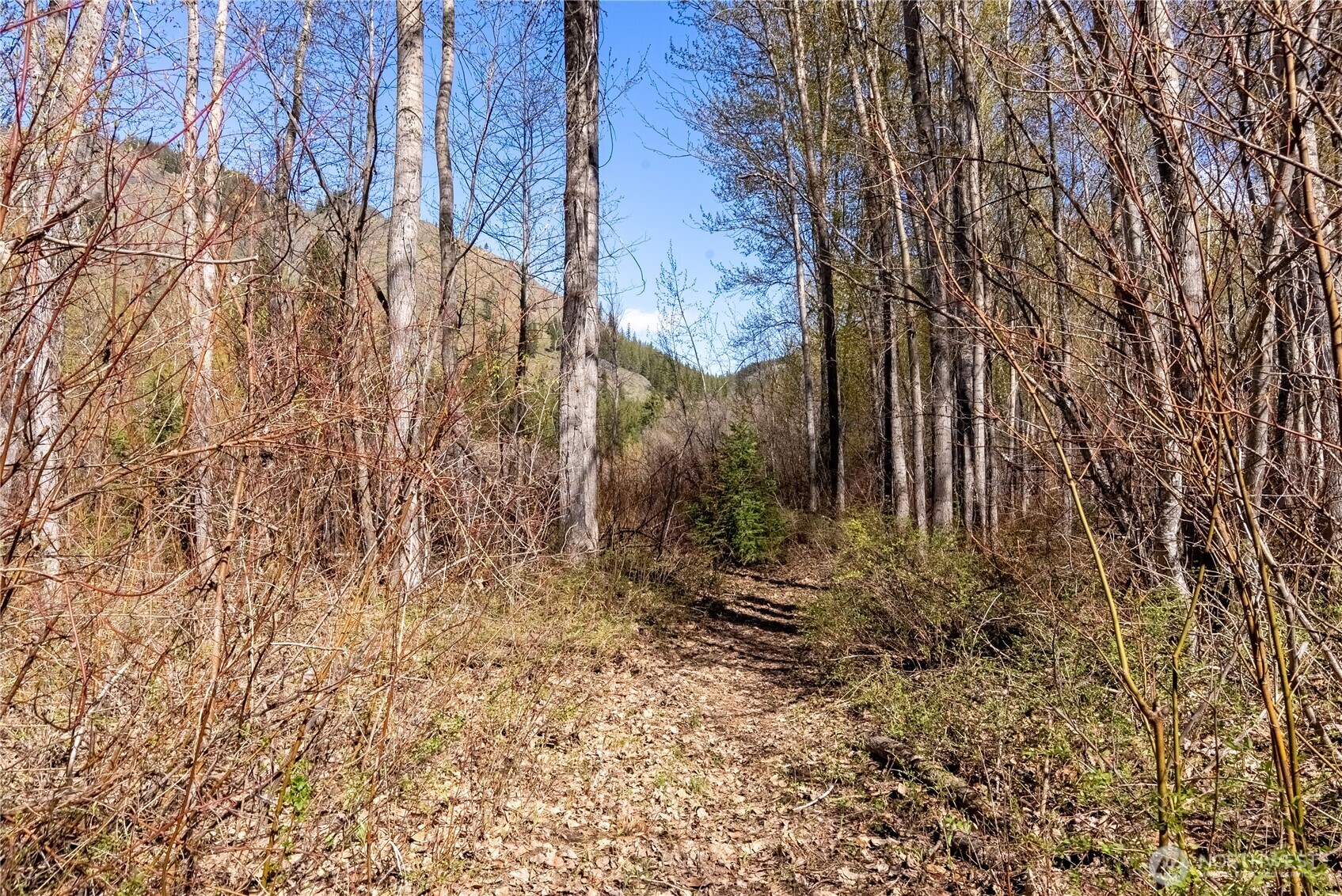 74 W Buttermilk Creek Road Property Photo 33