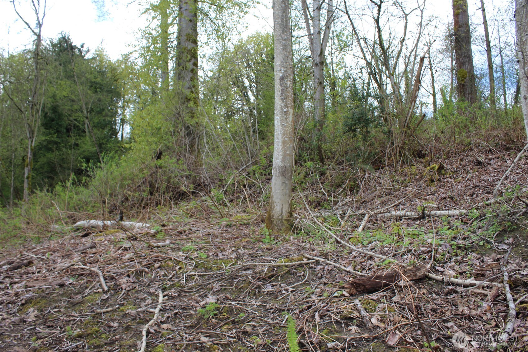 22 Xx Franklin Street Property Photo 6