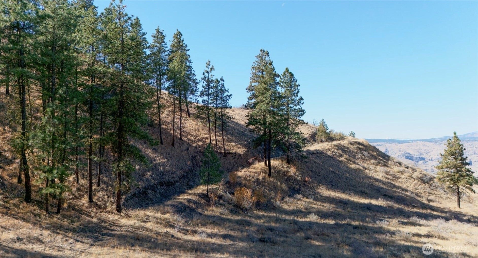 54 Wolf Holler Road Property Photo 7