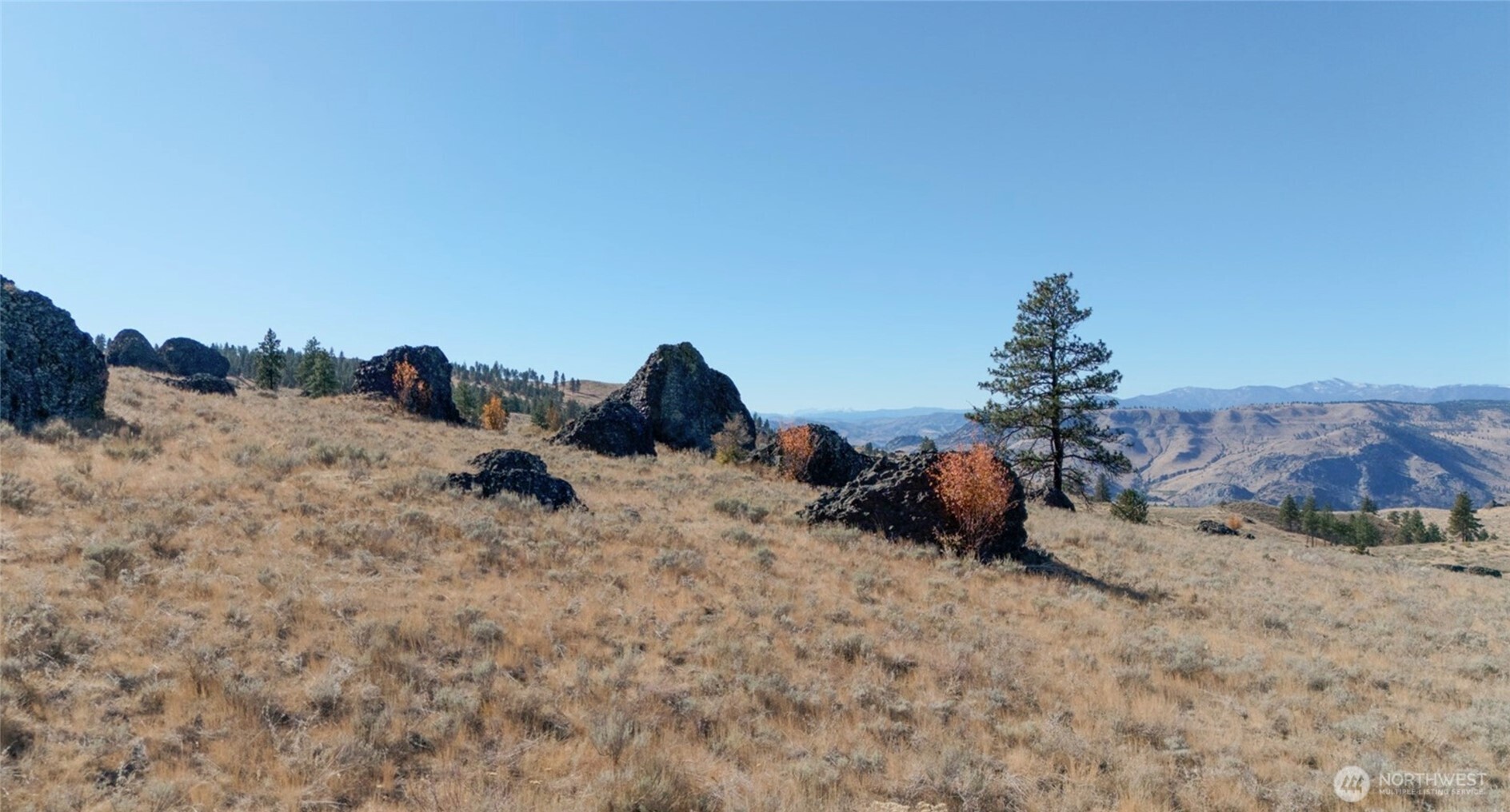 54 Wolf Holler Road Property Photo 11