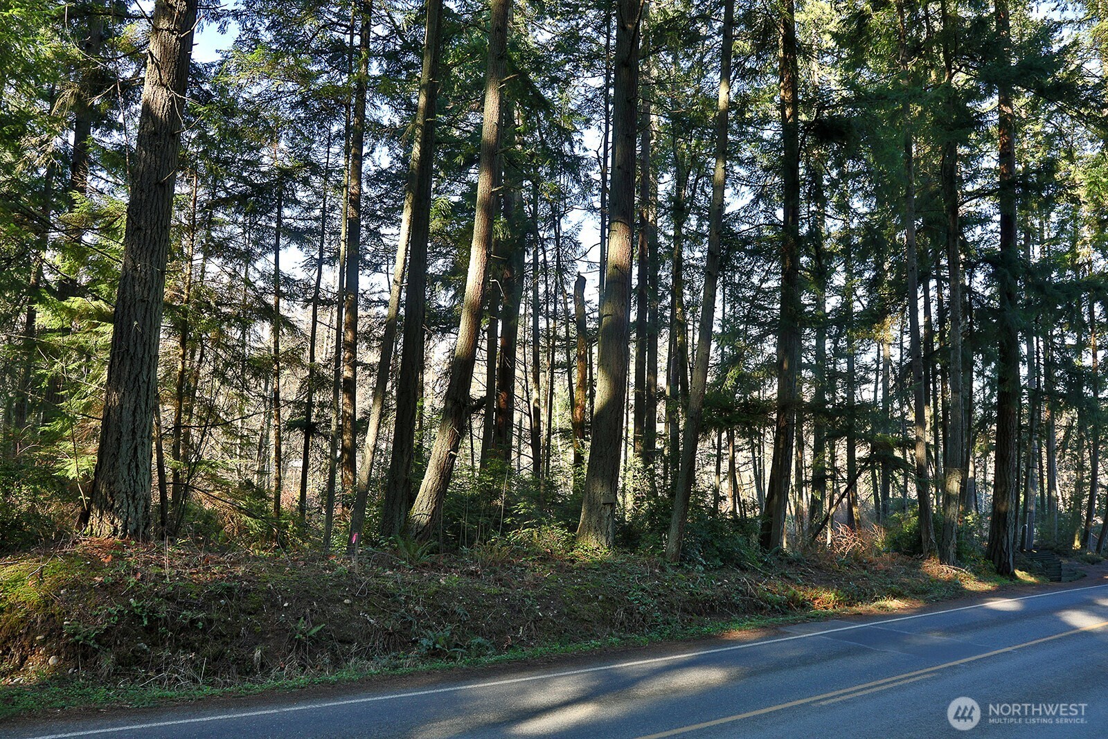6880 Holst Road Property Photo 1