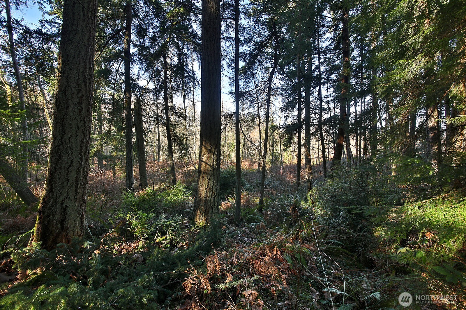 6880 Holst Road Property Photo 3